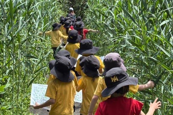 Children walking through bushland