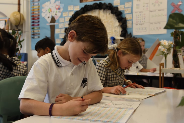 student in class working at a desk